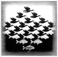  ::   (Escher)  15